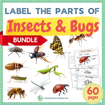 Label the Parts of Insects/Bugs BUNDLE - 10 Animals, Posters & Worksheets