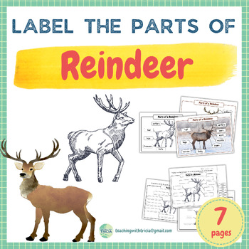 Animal Anatomy - Label the Parts of Reindeer: Posters & Worksheets