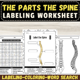 Label the Parts of Spine: Spinal Anatomy September Activit