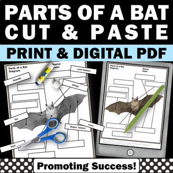 Preview of Label Parts of a Bat Labeling Diagram Worksheets Halloween Science Activities