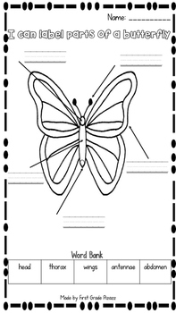 Parts of a Butterfly Label Activity FREEBIE by First Grade Pizazz