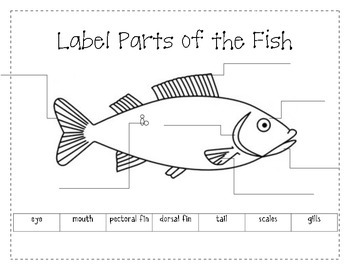 Label the Parts of a Fish by firstgradeannie | Teachers Pay Teachers