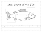 Label the Parts of a Fish