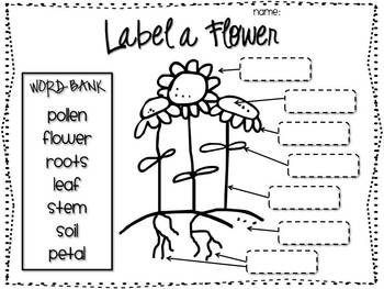 Label the Parts of a Flower by The Learning Tree | TpT
