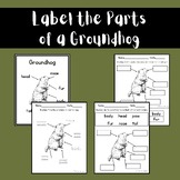 Label the Parts of a Groundhog - (Groundhog Day Activities)