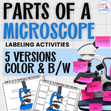 Label the Parts of a Microscope Diagram Worksheet | Includ