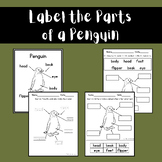 Label the Parts of a Penguin (Winter Activities)