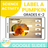 Label the Parts of a Pumpkin Science Resource