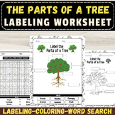 Label the Parts of a Tree Diagram: Tree Anatomy Activities