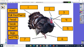 Preview of Label the Parts of a Turkey Flipchart Thanksgiving