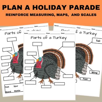 Preview of Label the Parts of a Turkey | Turkey Anatomy | Agriculture