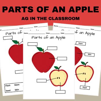 Label the Parts of an Apple | Apple Fruit Anatomy | Agriculture | TPT