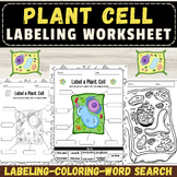Label the Plant Cell: Botany Activity Back to School Activ