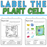 Label the Plant Cell: Botany Coloring Activity End of year