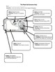 Label the Plant Cell Worksheet by Harper Science | TpT