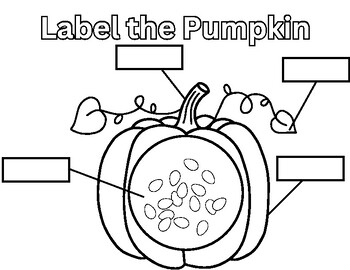 Label the Pumpkin /Fall Activities/ Writing Activity | TPT