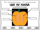 Label the Pumpkin