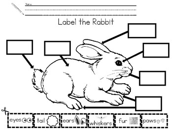 Preview of Label the Rabbit