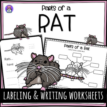 Preview of Label the Rat Parts of a Rat Worksheet - Writing and Labeling Diagram
