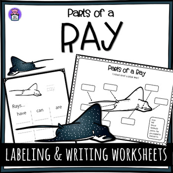 Preview of Label the Ray Parts of a Ray Worksheet - Writing and Labeling Diagram