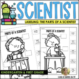 Label the Scientist Parts of a Scientist Kindergarten & Fi