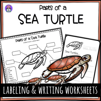 Preview of Label the Sea Turtle Parts of a Sea Turtle Anatomy Worksheet