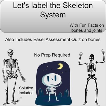 Preview of Label the Skeleton