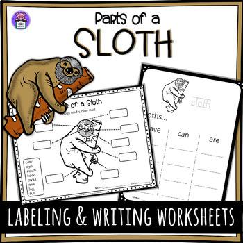 Preview of Label the Sloth Parts of a Sloth Worksheet - Writing and Labeling Diagram