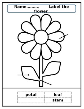 Preview of Label the flower