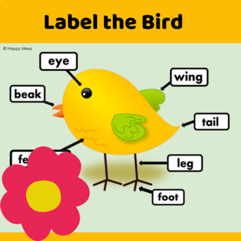 Preview of Label the parts of a Bird Life Cycles Activity Google Slides distance learning