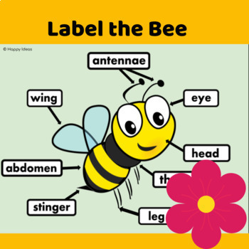 Preview of Label the parts of a bee ELA Non fiction science unit Google Slides 