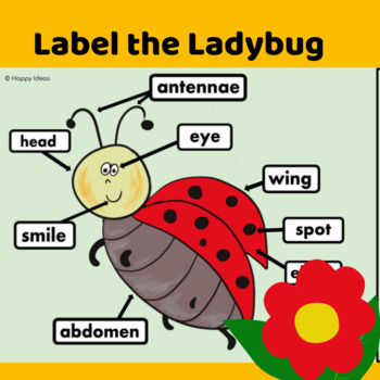 Preview of Label the parts of a ladybug Life cycles Google Slides distance learning