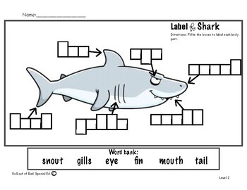 Preview of Label the shark