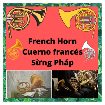 Preview of Labeled Instrument flashcard/clipart/picture(English/Spanish/Vietnamese transl.)