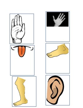 Preview of Labeling Body Parts -Small Cards (ABLLS-R G5)
