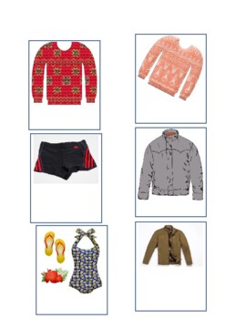 Preview of Labeling Clothing Items (ABLLS-R G6) Small Printable Cards