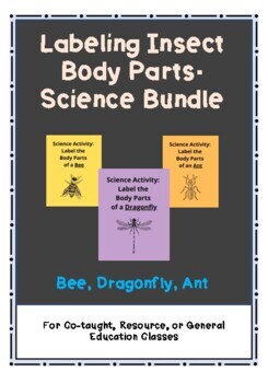 Preview of Labeling Insect Body Parts - Science Bundle Biology Environmental middle high