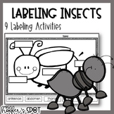 Labeling Insects