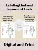 Labeling Limb and Augmented ECG Leads Digital or Paper Worksheet