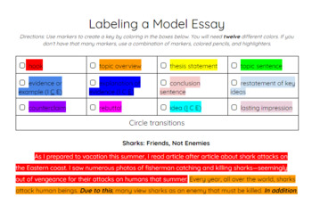 persuasive essay example with labeled parts