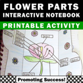 Flowers Parts of a Flower Craft Diagram Parts of a Plant S