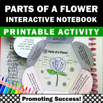 Preview of Parts of a Flower Life Cycle 4th 5th 6th Grade Science Interactive Notebook