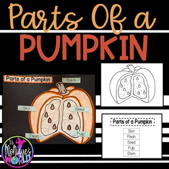 Preview of Labeling Parts of a Pumpkin