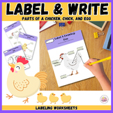 Labeling Pictures | Parts of A Chicken | Spring Writing Ac