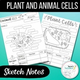 Labeling Plant and Animal Cell Diagrams (Sketch Notes/Dood