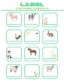 Preview of Labeling Worksheet - Farm Animals