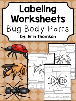 Labeling Worksheets ~ Bug Body Parts by Erin Thomson's Primary Printables