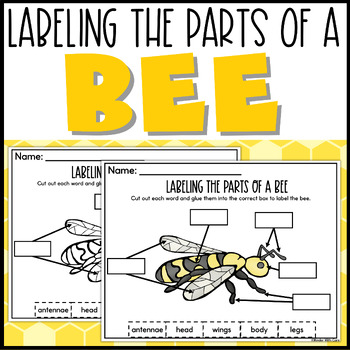 Labeling a Bee by Primary With Care | TPT