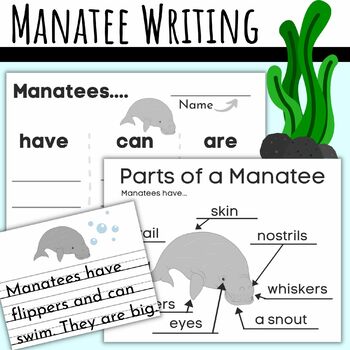 Preview of Labeling a Manatee - Informative Writing with Have Can Are Anchor Charts & Paper