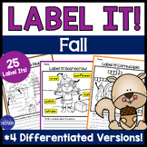 Fall Labeling a Picture(s) Sentence Writing Vocabulary Act